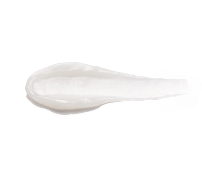 Ferment Snail Lip Sleeping Mask