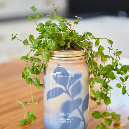 Herb Garden Jar