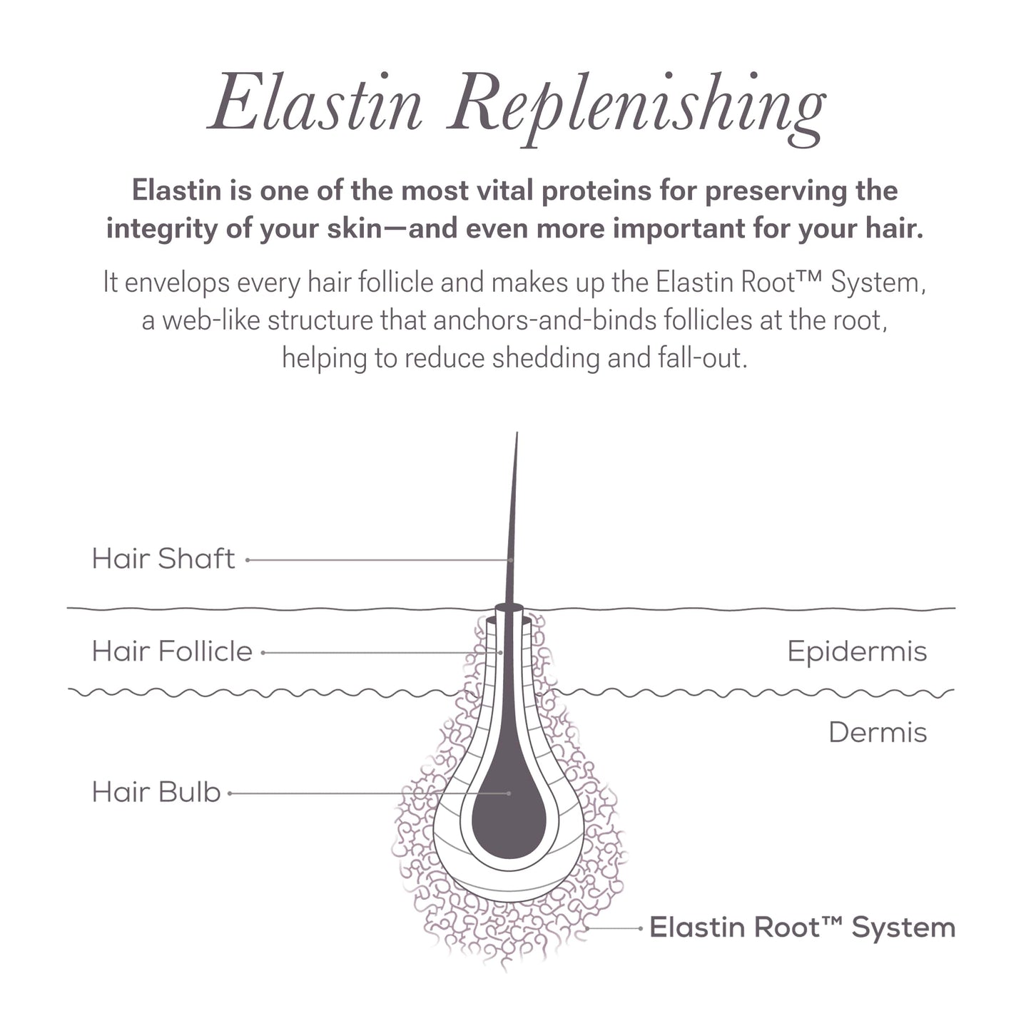 Nulsatin Lash Follicle Fortifying Serum