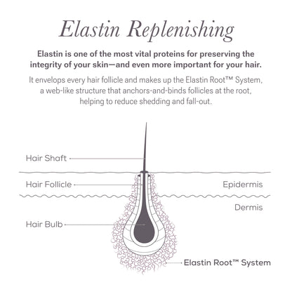 Nulsatin Lash Follicle Fortifying Serum